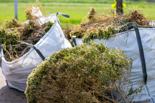 Best Junk Hauling Services  in Hodgkins, IL