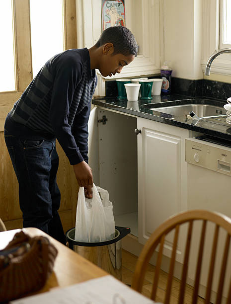 Best Construction Debris Removal  in Hodgkins, IL
